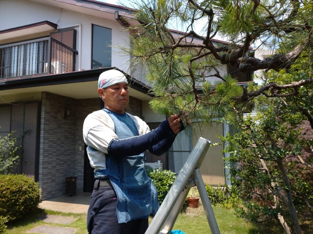 東京・練馬区の植木屋 庭師草庵 代表 鈴木順