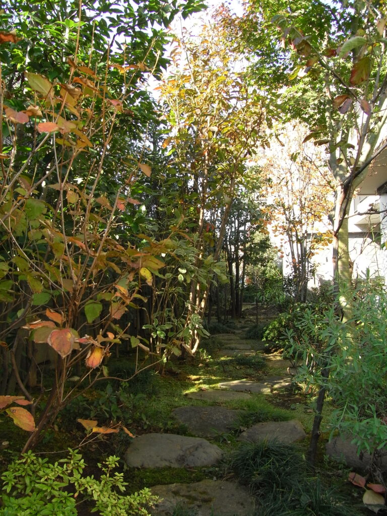杉並区｜自然の中の秋の庭