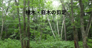 庭木・植木の剪定なら庭師草庵