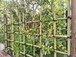 東京都杉並区での四ツ目垣の作業例