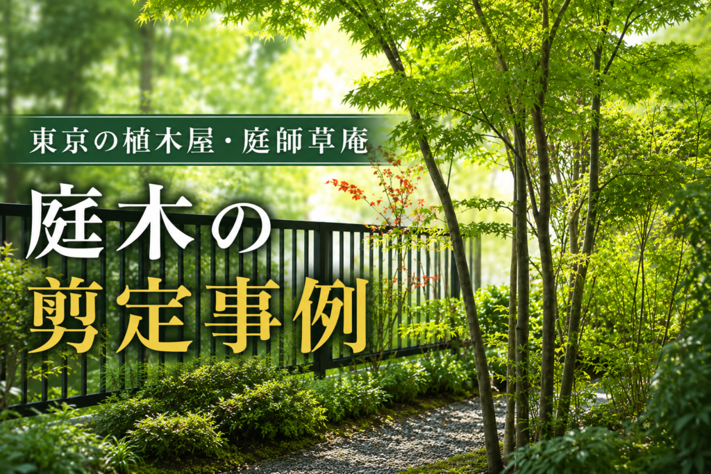 庭師草庵の剪定事例