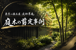 庭木の剪定事例|東京の植木屋・庭師草庵