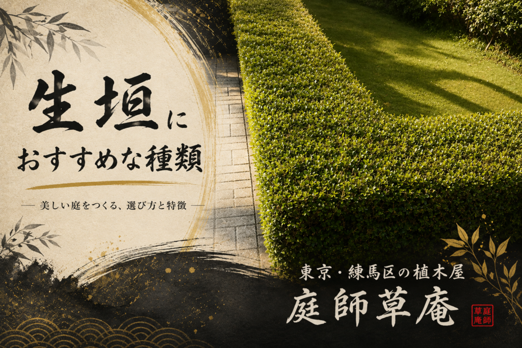 生垣の種類と選び方を解説する東京の植木屋・庭師草庵