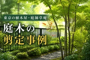 庭木の剪定事例|東京の植木屋・庭師草庵